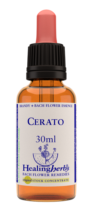 Healing Herbs Ltd Cerato 30ml