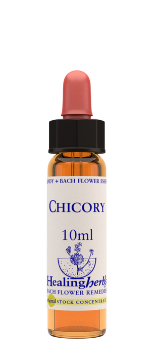 Healing Herbs Ltd Chicory 10ml