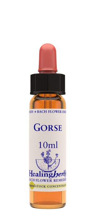 Healing Herbs Ltd Gorse 10ml