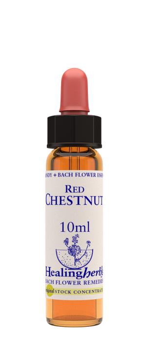 Healing Herbs Ltd Red Chestnut 10ml