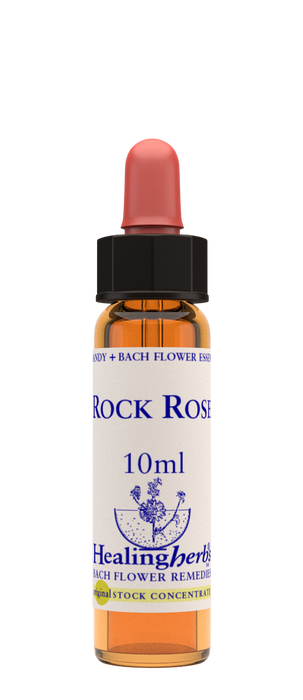 Healing Herbs Ltd Rock Rose 10ml